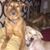 Lynn Zipoy's profile image