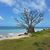 Christine Samoluk Werner's profile image