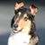 Melissa Gallip's profile image
