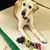 Maria Hallinan Adams's profile image