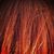 Kari Hardy's profile image