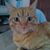 Jorge Hernando Velez Ramirez's profile image