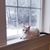 Rosemarie Wolfel Brody Schaut's profile image