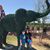 MaryHelen McKean's profile image