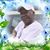 Sherri Jones's profile image
