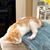 Sherry Sellers Sorrell's profile image