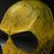 Joshua Wilbanks's profile image