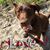 Joie Ann Reidburn Steffen's profile image