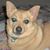 Nancy Smith's profile image