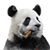 Tom Barr's profile image
