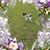 Doris Goffbrown's profile image