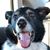 Shawna Caldwell's profile image