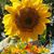 Claudia Beckner's profile image