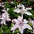 Tammy Pott's profile image