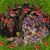 Maple M. Burgess Saena-Galumalemana's profile image