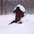 Todd Flora's profile image