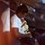 Mano Brooks's profile image