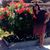 Sarita Reddy's profile image