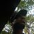 Kevin Kdx Thompson's profile image