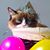 Letitia Ann Lubbe's profile image