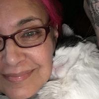 Susan Entwistle's profile image