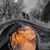 Kathy Masterson's profile image