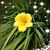Jami Mellott Chambers's profile image