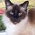 Mary Lunsford's profile image