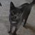 Patricia Boehning's profile image