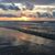 Susan Collings's profile image