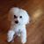 Belinda Landers's profile image