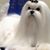 Kathe Clark Kasten's profile image