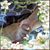 Lynn N Matt Greer's profile image