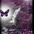Sharon Flores's profile image
