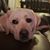 Teri Libretti's profile image