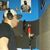 Carlos Mata's profile image