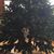 Debbie Cundari-Cotter's profile image