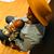 Leila E. Ellis-Nelson's profile image