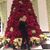 Gina Blake Mahaffey's profile image