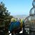 Joan Larsen-Smith's profile image