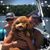Cheri Edens's profile image