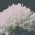 Carol Cassara's profile image