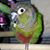 Heather Bowen's profile image
