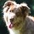 Judi Schachte's profile image