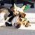 Mark Faught's profile image