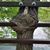 Gina Farajian's profile image