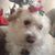 MikeandEmily Aragona's profile image
