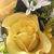 Diane Hillebrand's profile image