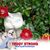 Pat Huskey's profile image