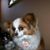 Ted McGrath's profile image